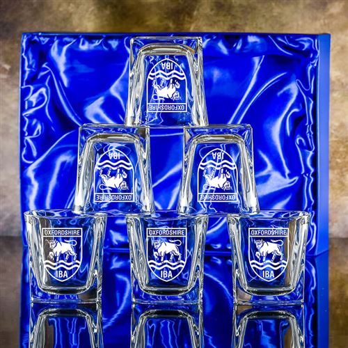 Six Engraved Admittable Tumblers Gift Set
