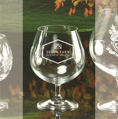 Crystal Engraved Brandy Snifter Glass