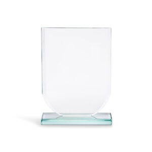 Shield Trophy (Medium)