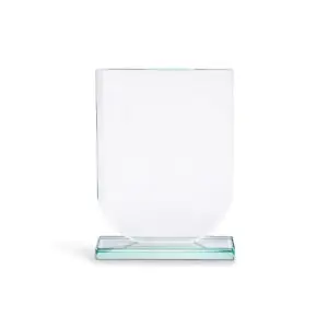 Shield Trophy (Small)
